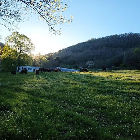 Ferme Les Therondels Saint-Pons-de-Thomieres エクステリア 写真