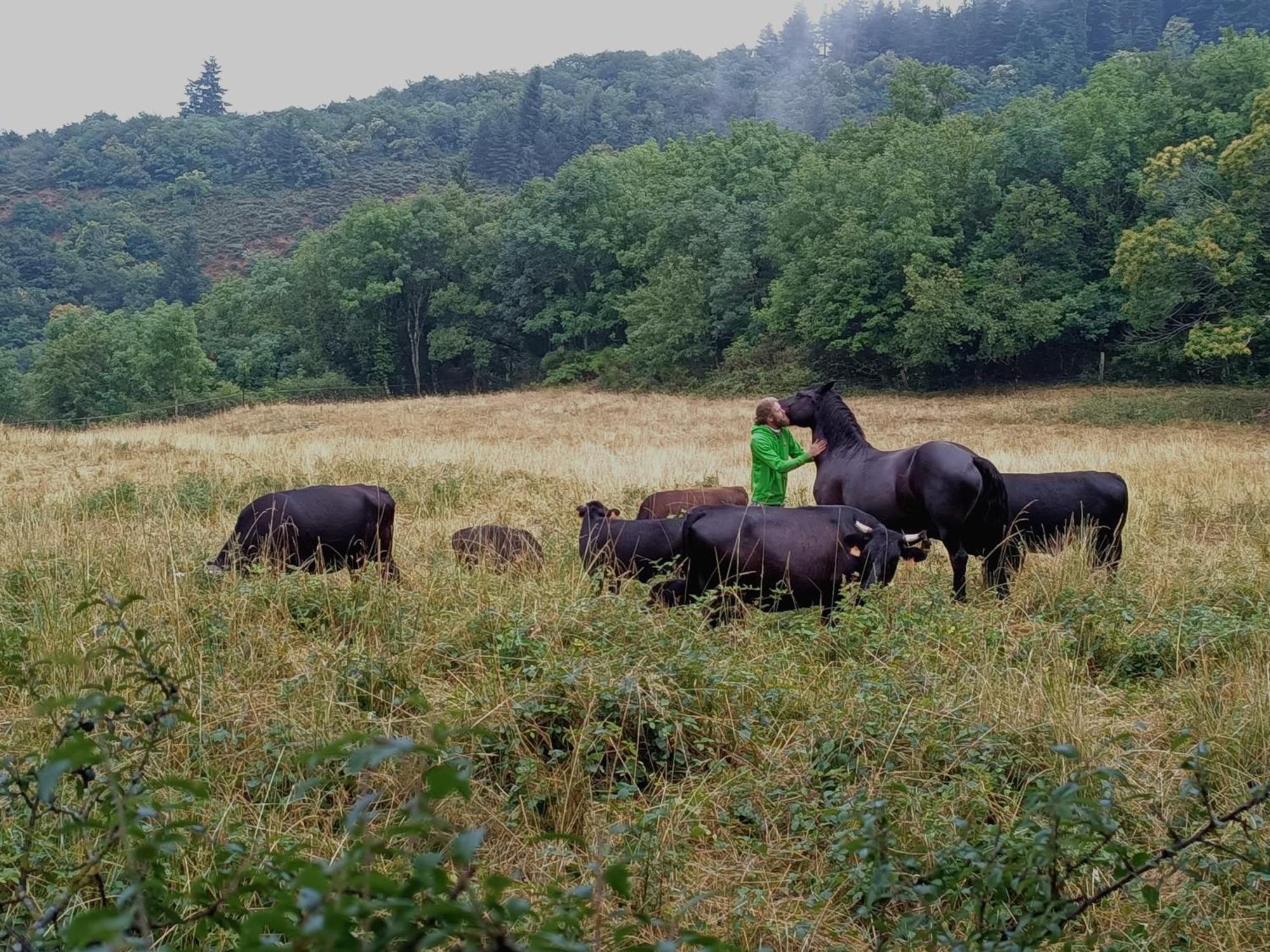 Ferme Les Therondels Saint-Pons-de-Thomieres エクステリア 写真