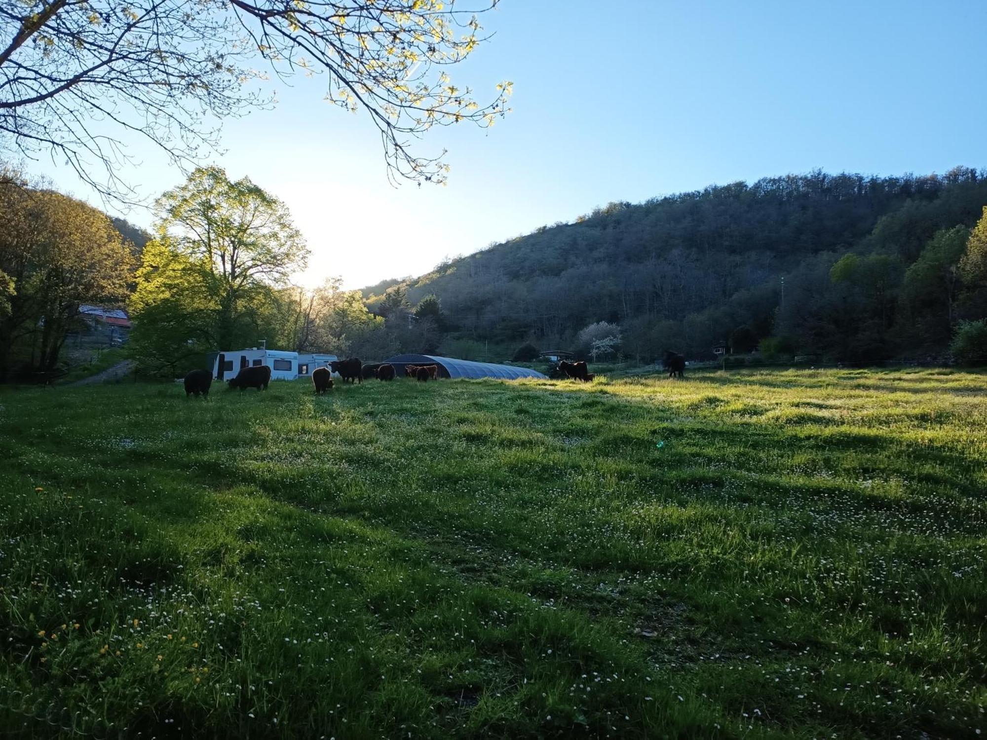 Ferme Les Therondels Saint-Pons-de-Thomieres エクステリア 写真
